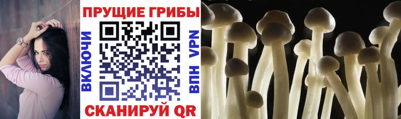 Купить где  Билибино  Псилоцибиновые грибы прущие грибы 